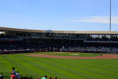 DSC_1708 (Large).JPG